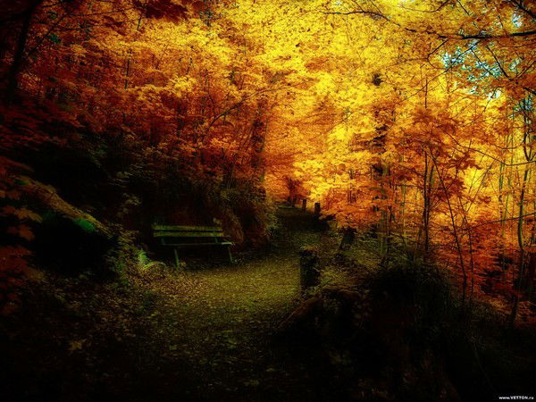 Ярослав Кораблин