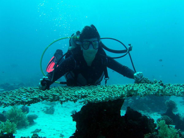 Светлана Безфамильная