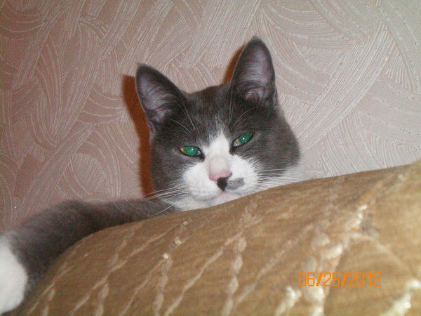 Александр Ким