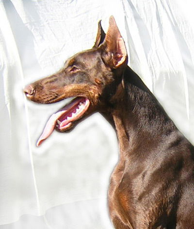 Оксана Злобина