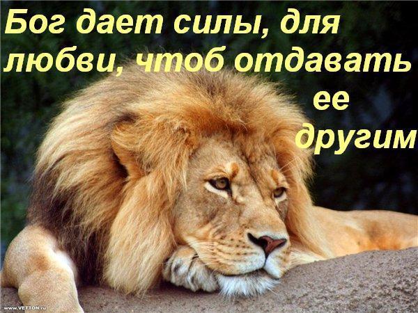 Оникова Татьяна