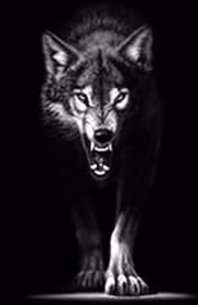 Бакдаулет Калиев