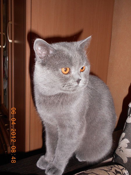 Наталья Гуренкова