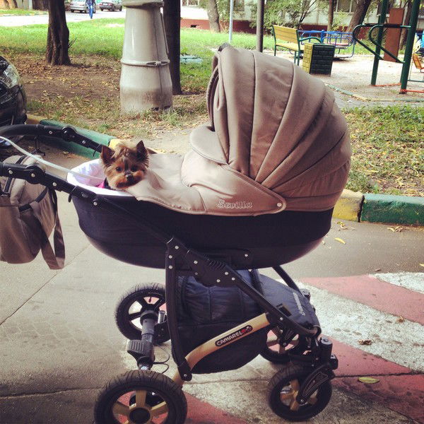 Анастасия Кравцова