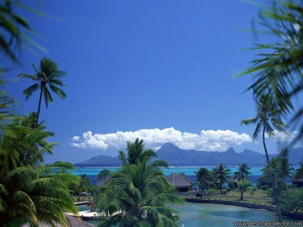 Стас Крачек