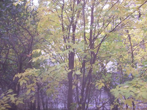 Евгений Марикин