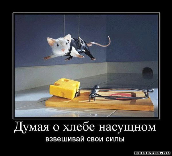 Лопатина Наталья