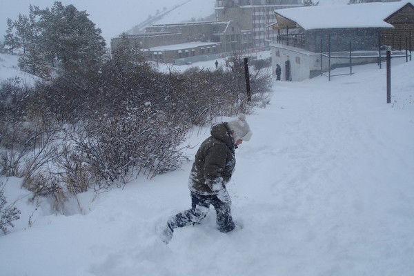 Александр Цхай