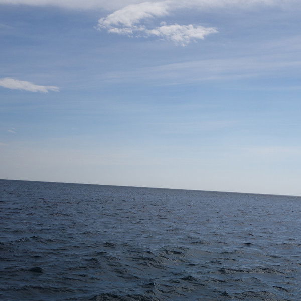 Владимир Крылов