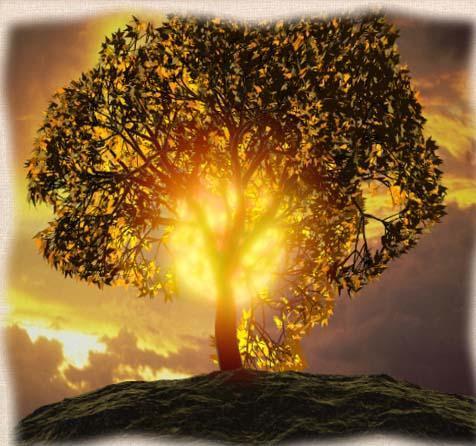 Ангел Екатерина