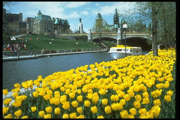 Карлыгаш Саниева