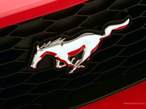 Айбек Ташмуратов