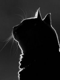 Сергеева Ольга