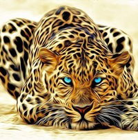 Ксения Налимова