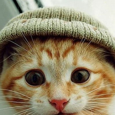 Александр Михайлович