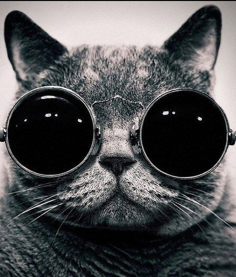 Ольга Спица