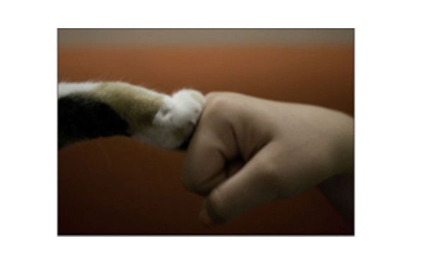 Жаскайрат Исабеков