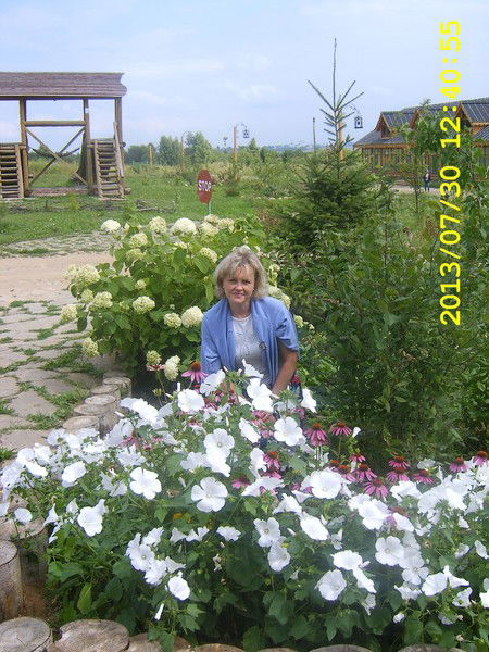 Наталья Шахворост