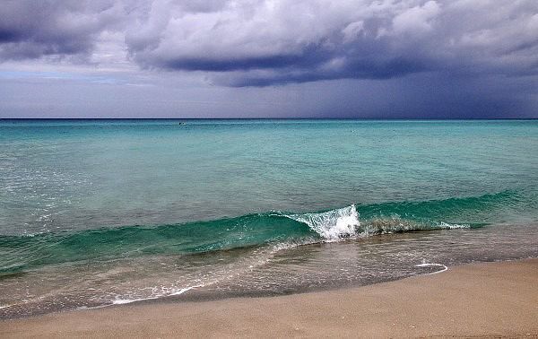 Анатолий Тегай