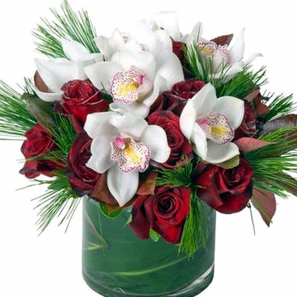 Галина Беляева