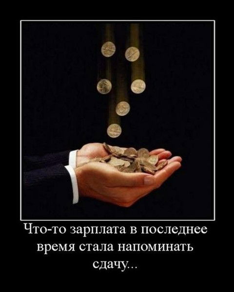 Рита Шамшурина