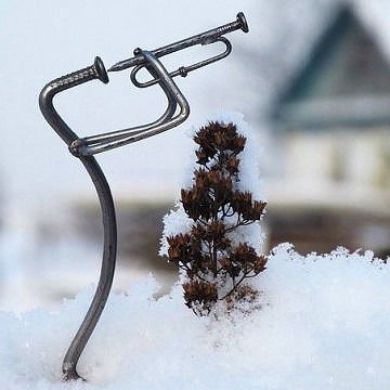 Роман Гвоздев