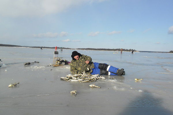 Андрей Сидоренко