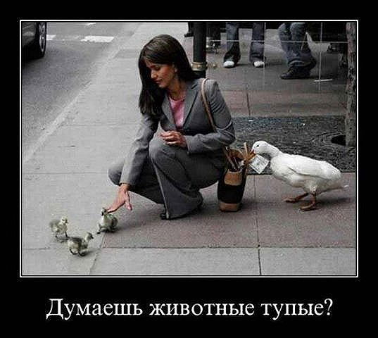 Евгения Шишмарева