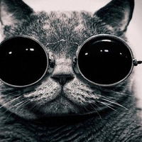 Максим Тимофеев