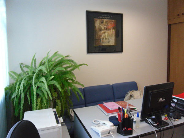 Елена Шальнева