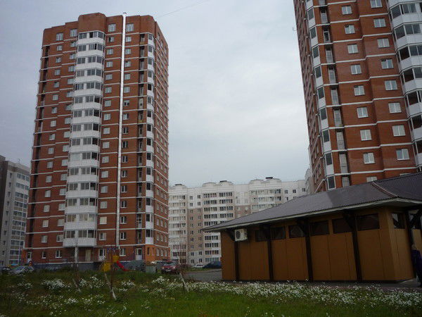 Wriwriwri Петров И.и.