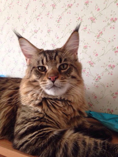 Дарья Крылова