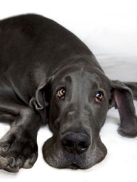 Максимов Сергей