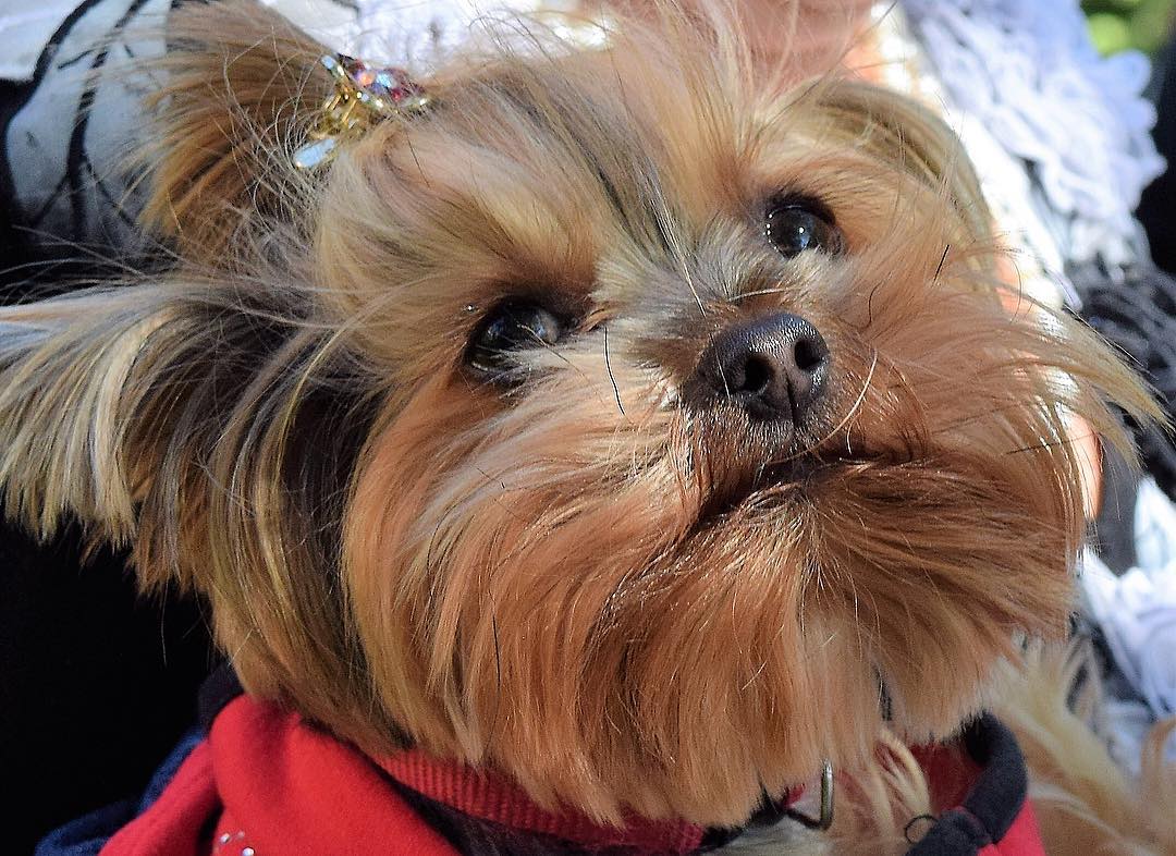 Прощай,грусть!