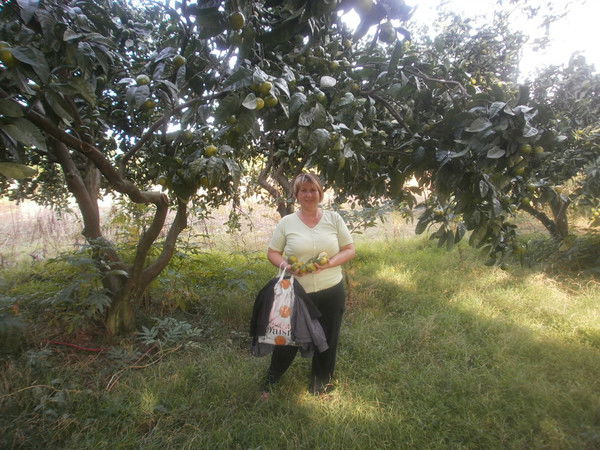 Иннеса Эйно