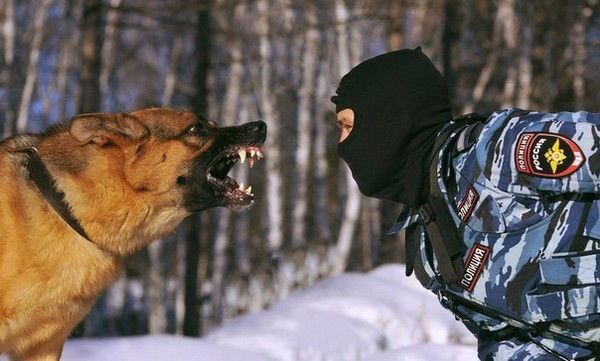 Алексей Костюк