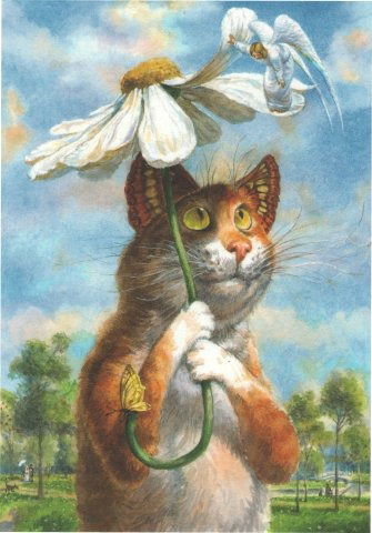 Наталья Дугина