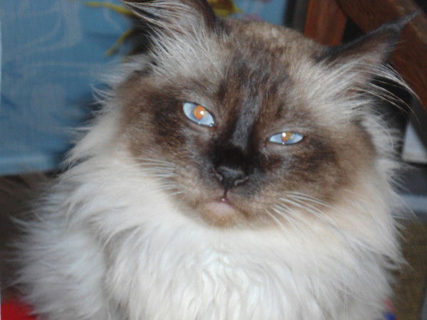 Наталья Чумак