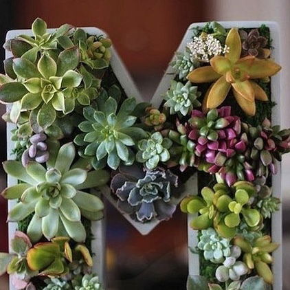 Мари Исаева