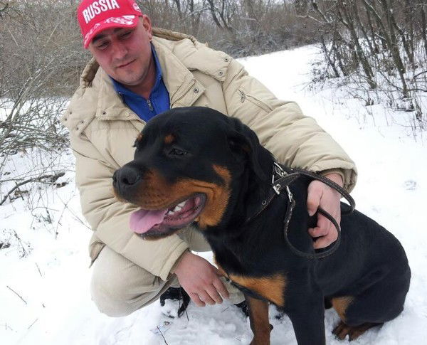 Александр Меркулов