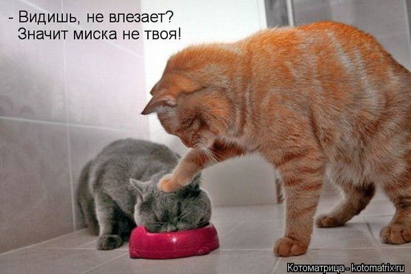 Диана Талипова