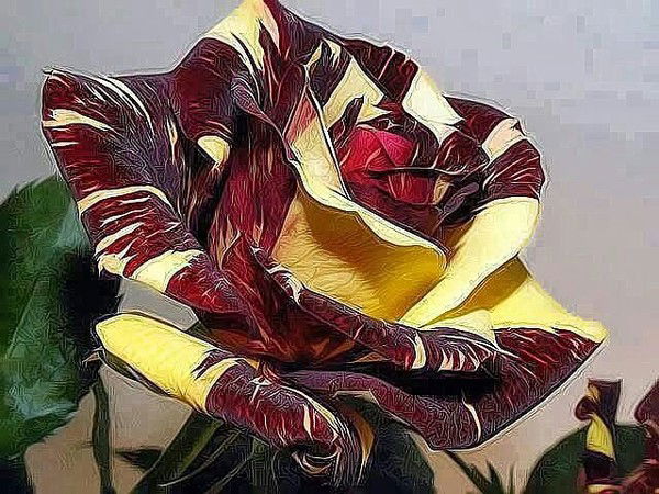 Гузеля Джумаевы