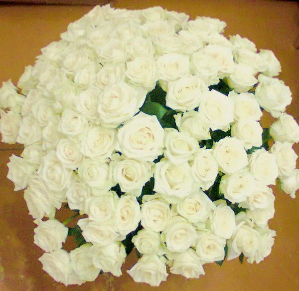 Дарья Китаева