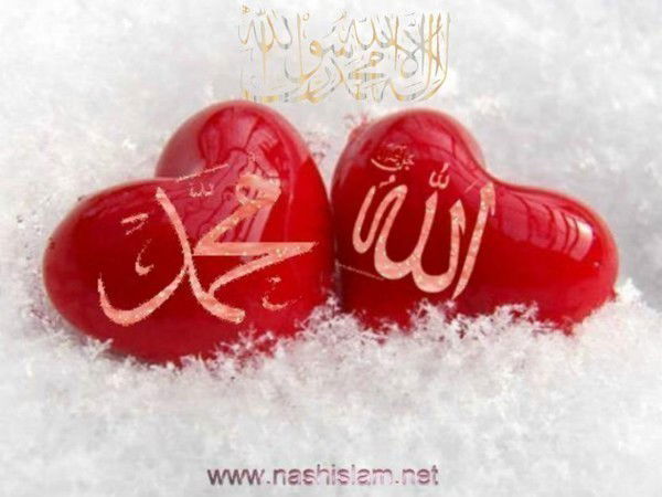 *&*мусульмань*&* *&*мирайида*&*