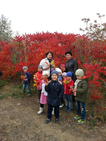 Детский Сад № 60 Ер-Тостик