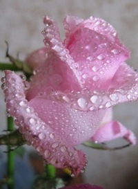 Ирина Корнеева