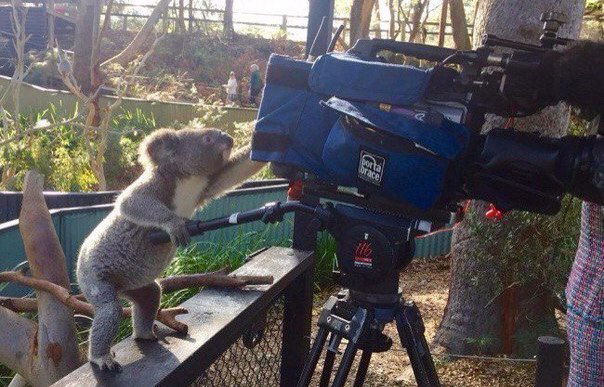 Олеся Васильевна