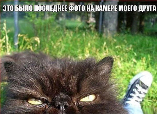 Алексей Выхор