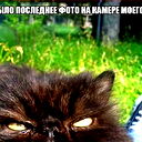 Алексей Выхор