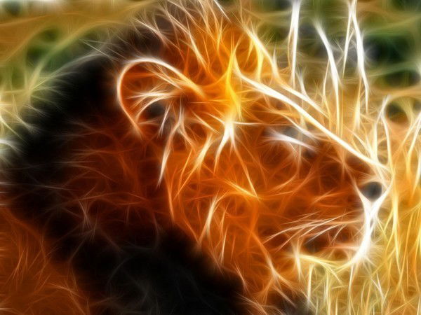 Андрей Курапов